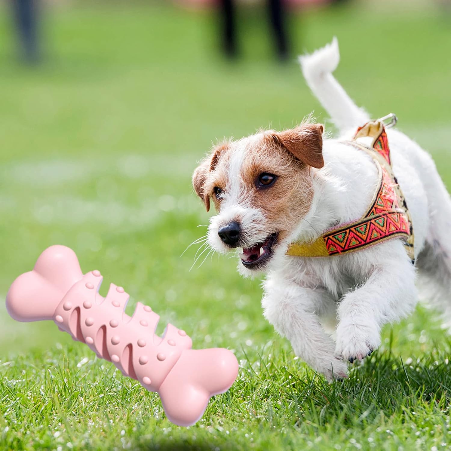 Giocattolo da masticare a forma di osso per cani 