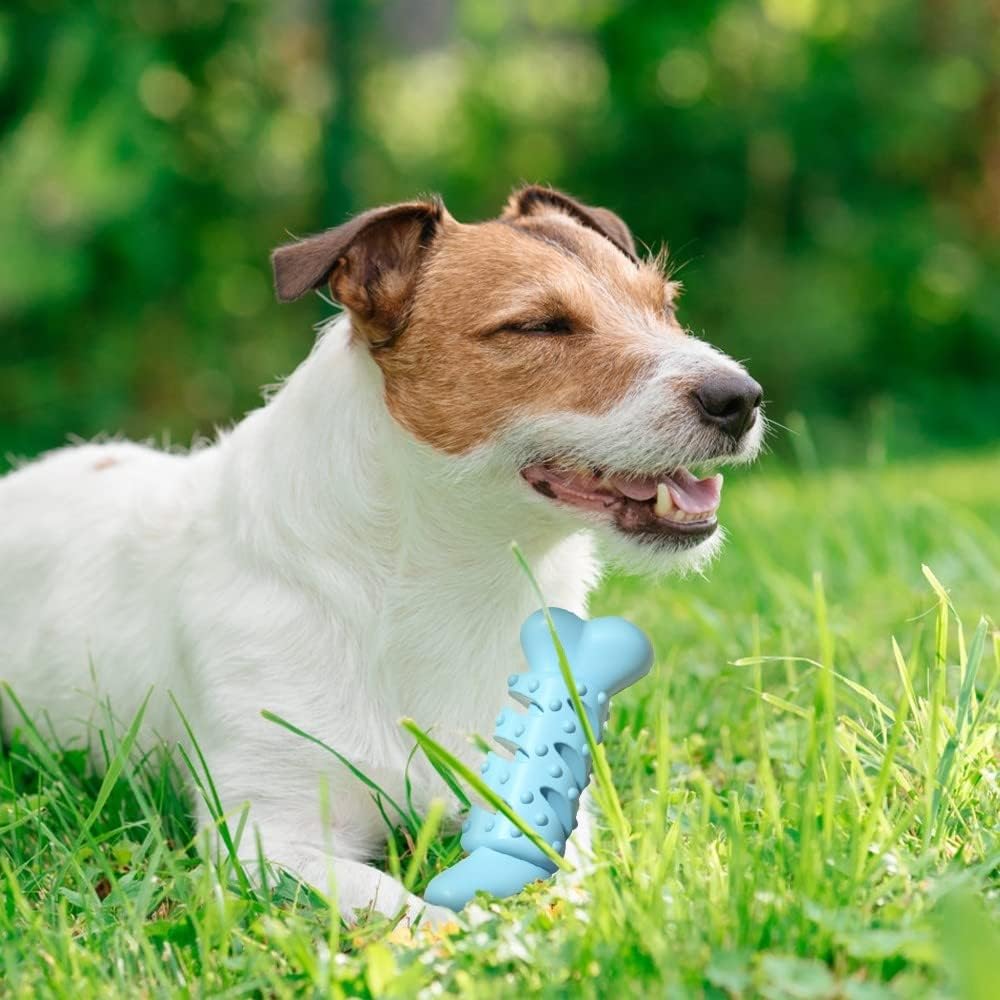 Knochenartiges Kauspielzeug für Hunde